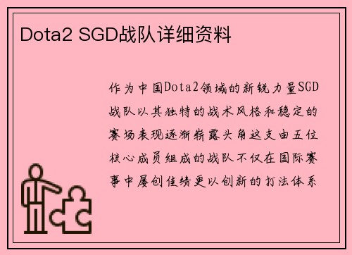 Dota2 SGD战队详细资料